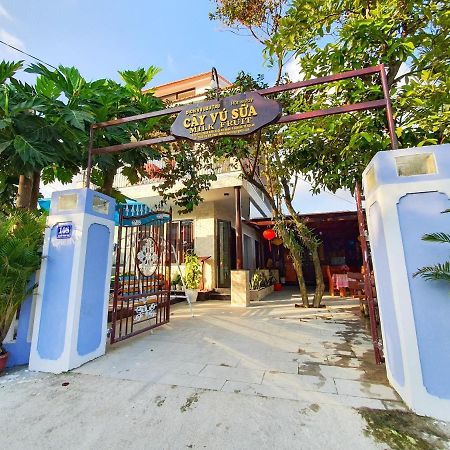 Milk Fruit Homestay - An Bang Beach ホイアン エクステリア 写真